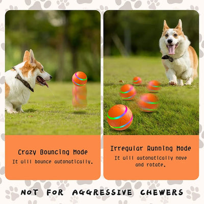 FurrySpoilers™ Interactive Dog Toy